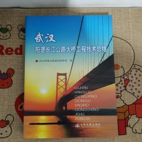 武汉阳逻长江公路大桥工程技术总结