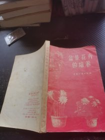 盆景花卉的培养