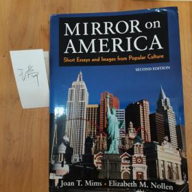 MIRROR ON AMERICA 美国写照