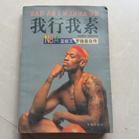 我行我素 NBA蓝板王罗德曼自传