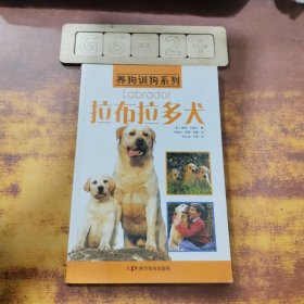 拉布拉多犬