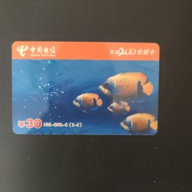 中国电信 200长话卡 HNL-200L-2（2-2）.