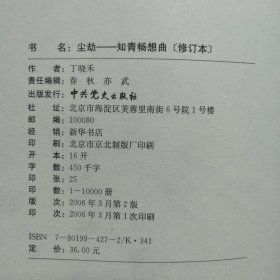 尘劫：知青畅想曲