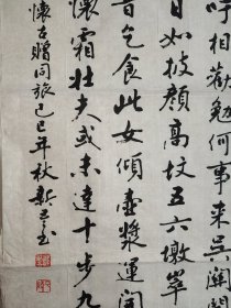 戴新吾（江苏书法家协会会员）·书法作品·（104*35）（029）