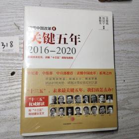 读懂中国改革4：关键五年2016--2020