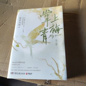 掌上青梅 全二册