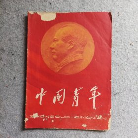 ′中国青年1963年第13期