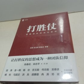 打胜仗:常胜团队的成功密码【全新未拆封】