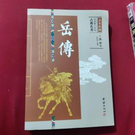 写给青少年的古典名著：岳传