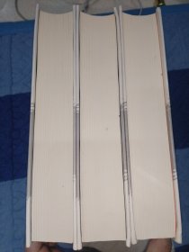 见证与记录：南京大屠杀史料精选 （中方日方西方史料）精装共三卷