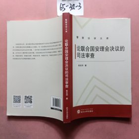 论联合国安理会决议的司法审查