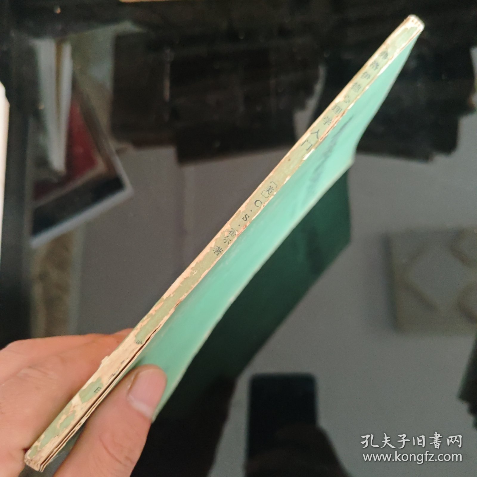 弗洛伊德心理学入门