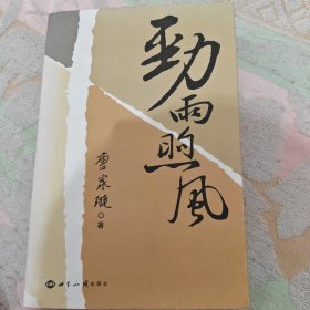劲雨煦风：官方的外交阐述【签名钤印】像是印上去的，但是未找到同版本的