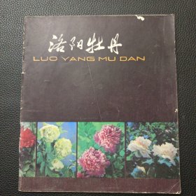 【洛阳牡丹】23/1214