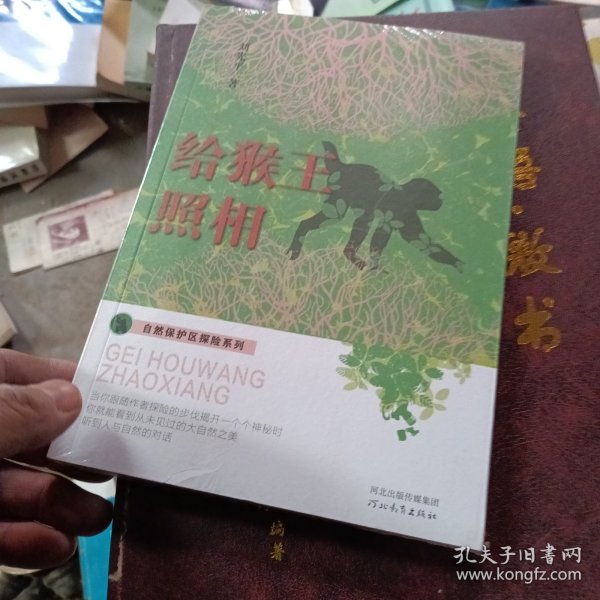 自然保护区探险系列——给猴王照相