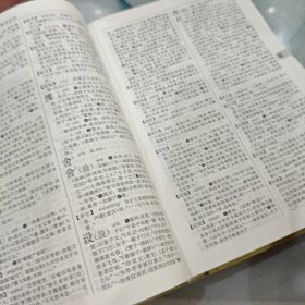 古代汉语词典（第2版）