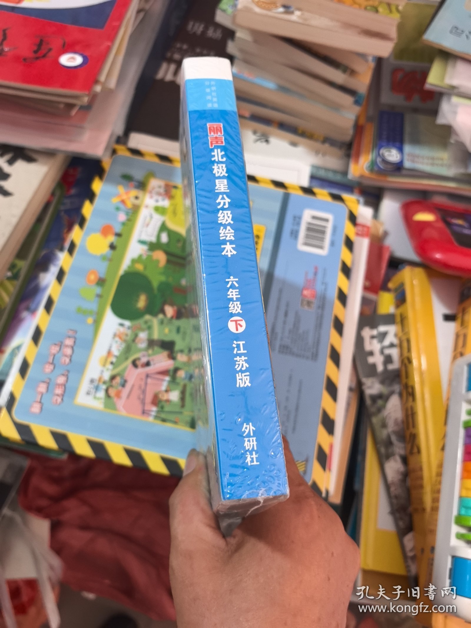 丽声北极星分级绘本六年级下（江苏版，未拆封）