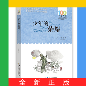 百年百部中国儿童文学经典书系·少年的荣耀