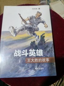 包邮战斗英雄王大胜的故事