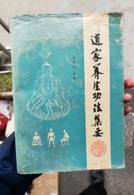 道家养生功法集要 一版一印正版书