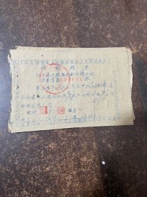 股票一张 12