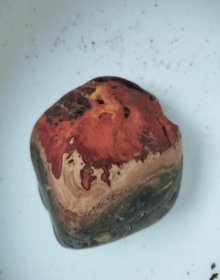 红运当头，天然奇石独石河石，对比度非常好，石型完整颜色漂亮，打灯不透，独一无二的原石。