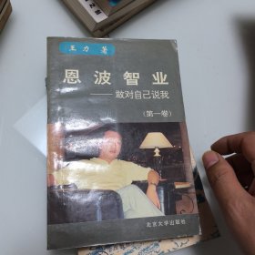 恩波智业：敢对自己说我 第一卷