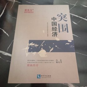 突围——中国经济