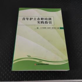 青年护士在职培训实践指引 护理 新华正版