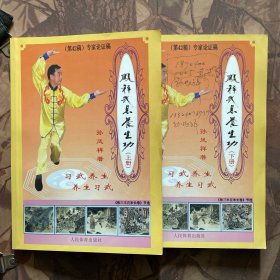 凤祥武息养生功（上下）