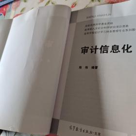 审计信息化/高等学校会计学与财务管理专业系列教材