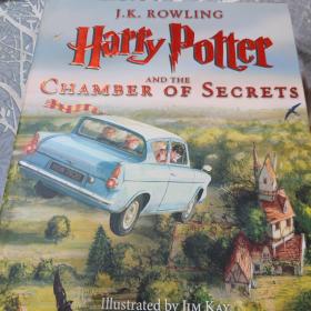 哈利波特与密室 插图版 Harry Potter and the Chamber of Secrets