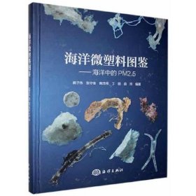 海洋微塑料图鉴——海洋中的PM2.5