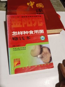 怎样种食用菌赚钱多