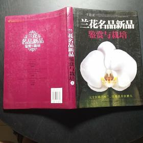 兰花名品新品鉴赏与栽培