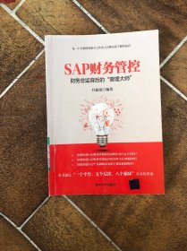 SAP财务管控：财务总监背后的“管理大师”