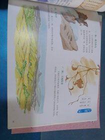 聆听二十四节气（套装共4册）