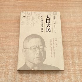大国大民 王志纲话说中国人