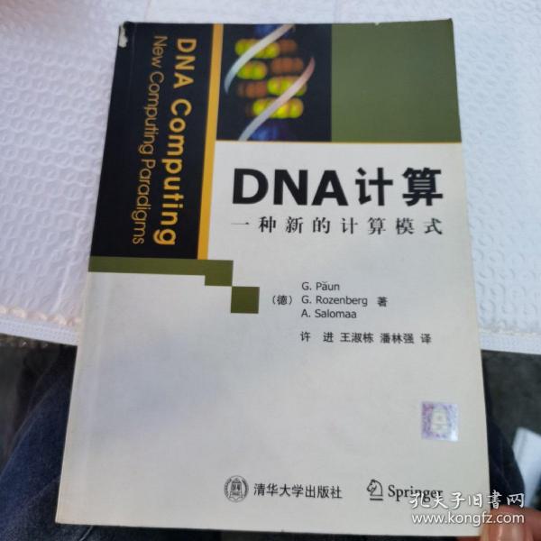 DNA计算：一种新的计算模式