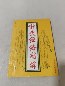 针灸经络图解