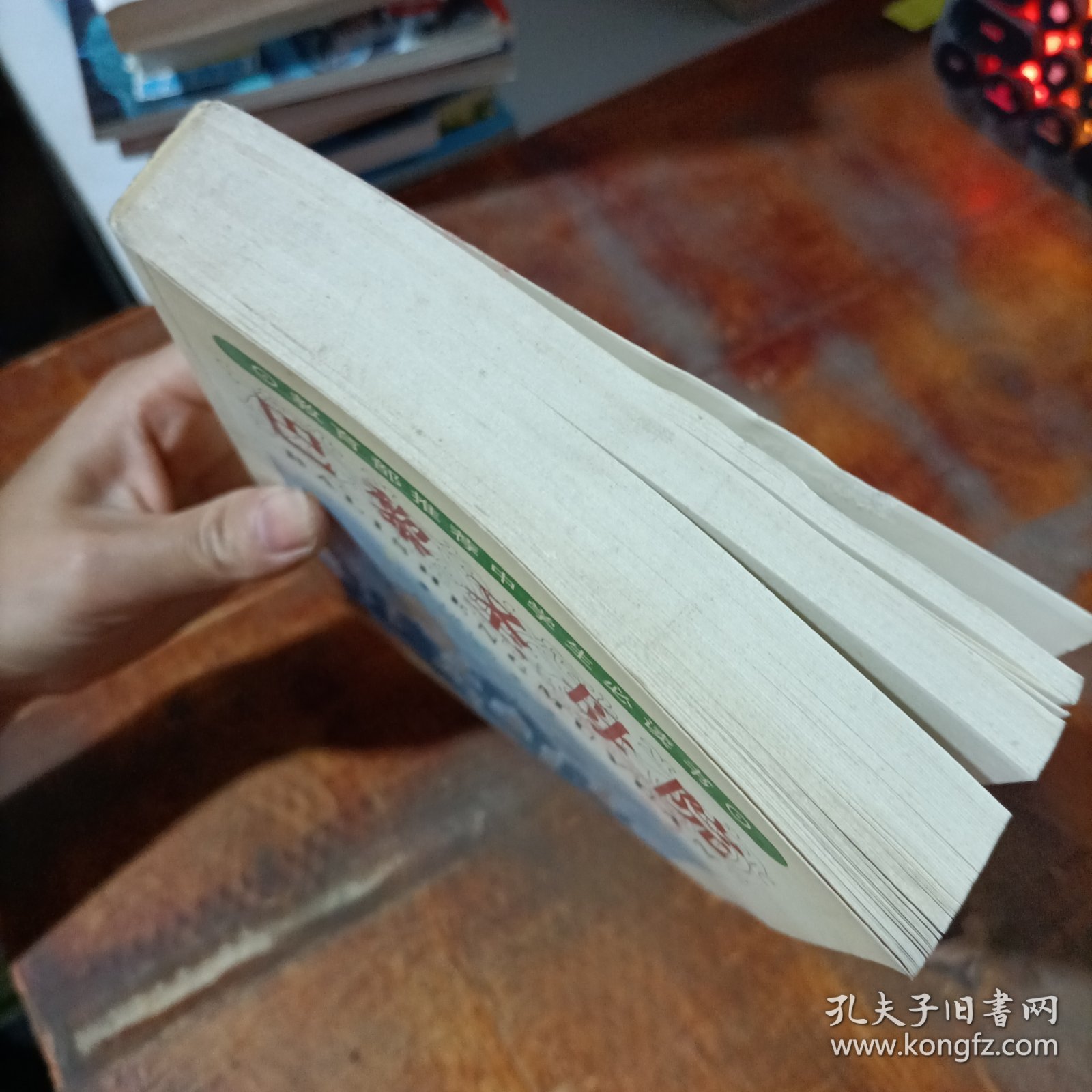 巴黎圣母院 时代文艺出版社