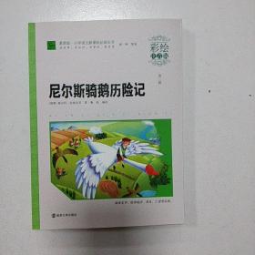 尼尔斯骑鹅历险记（彩绘注音版）