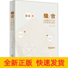 縫合 大數(shù)據(jù)時(shí)代下的資本管理與實(shí)踐
