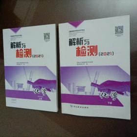 河南省初中学业水平考试解析与检测(2021）：化学上下册【没做过】