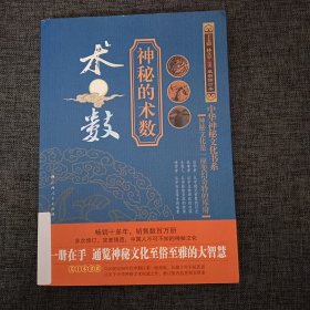 神秘的术数：中国算命术研究与批判