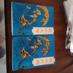 老武侠180：龙飞虎跃（上下）