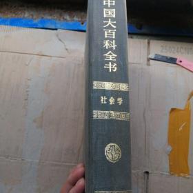 中国大百科全书（社会学），品佳