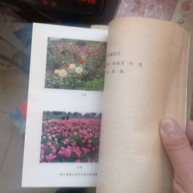 花乡春秋