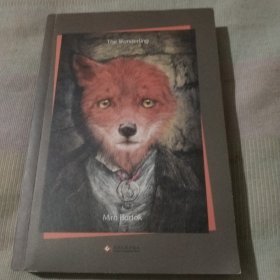 狐狸男孩