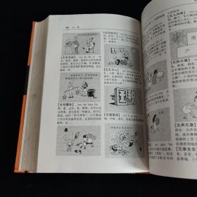中华漫画成语词典